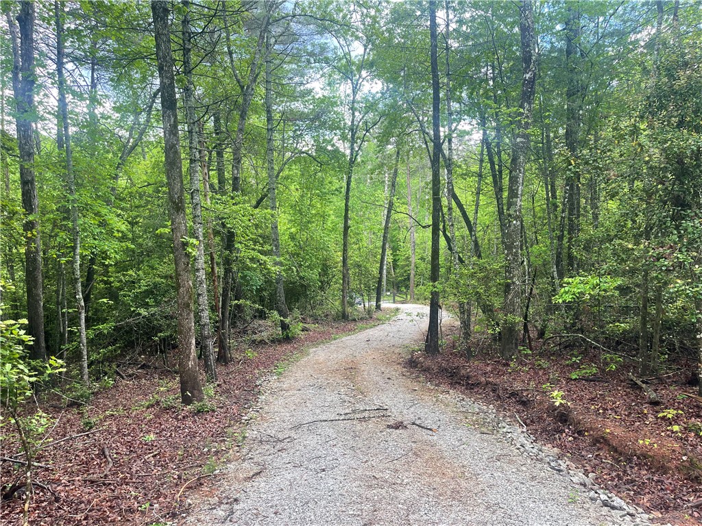 0 Crystal Lake Road Mountain Rest, SC 29664 - Photo 26 of 33 Gallery Image 26