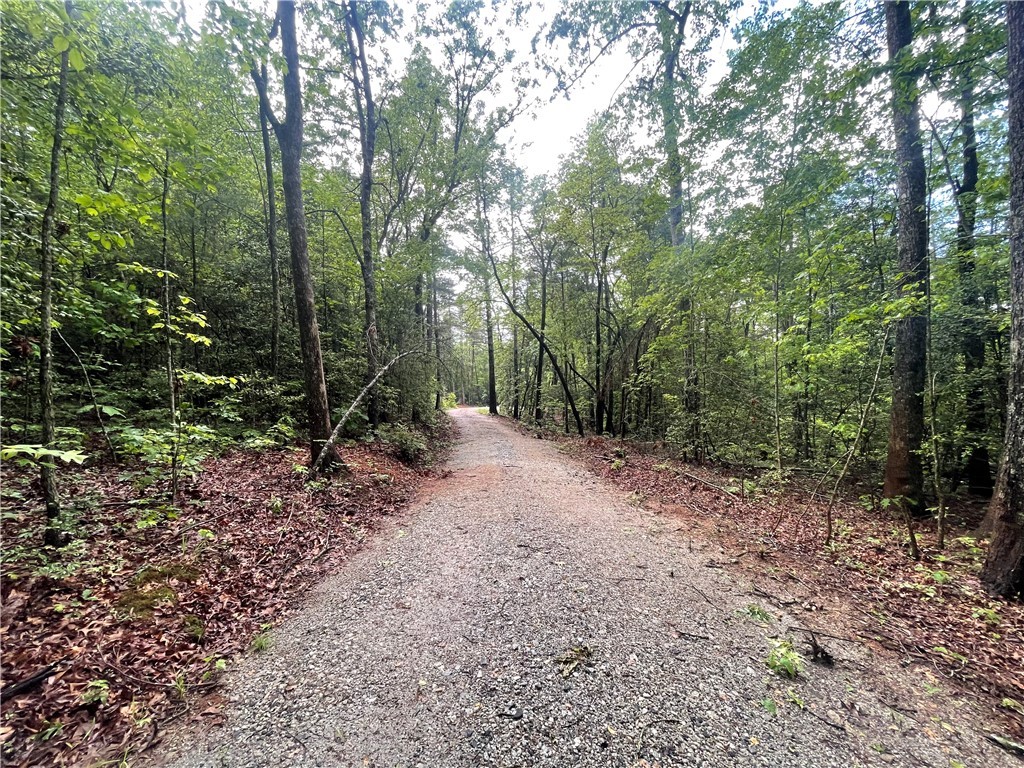 0 Crystal Lake Road Mountain Rest, SC 29664 - Photo 10 of 33 Gallery Image 10