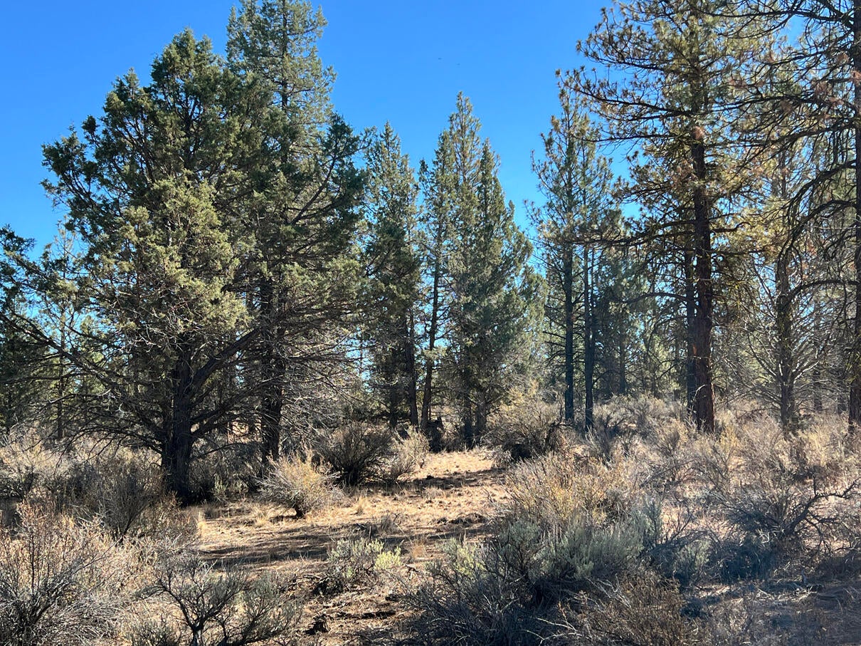 Oregon Pines Road, Unit TL 600 Chiloquin, OR 97624 - Photo 21 of 51 IMG_4299