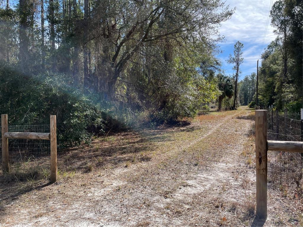 7785 Northeast 199th Street Road Citra, FL 32113 - Photo 12 of 20