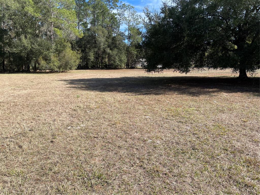 7785 Northeast 199th Street Road Citra, FL 32113 - Photo 7 of 20