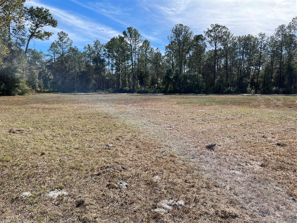 7785 Northeast 199th Street Road Citra, FL 32113 - Photo 8 of 20