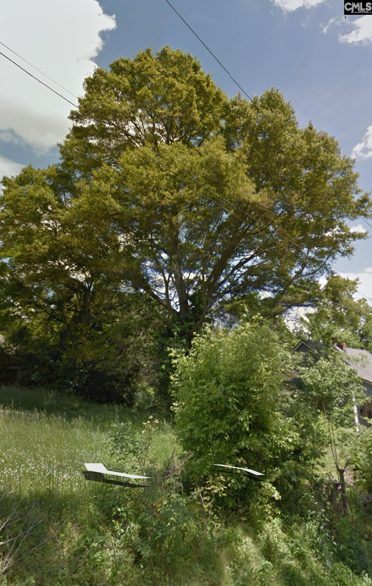 1008 14th Street Lancaster, SC 29720 - Photo 2 of 3