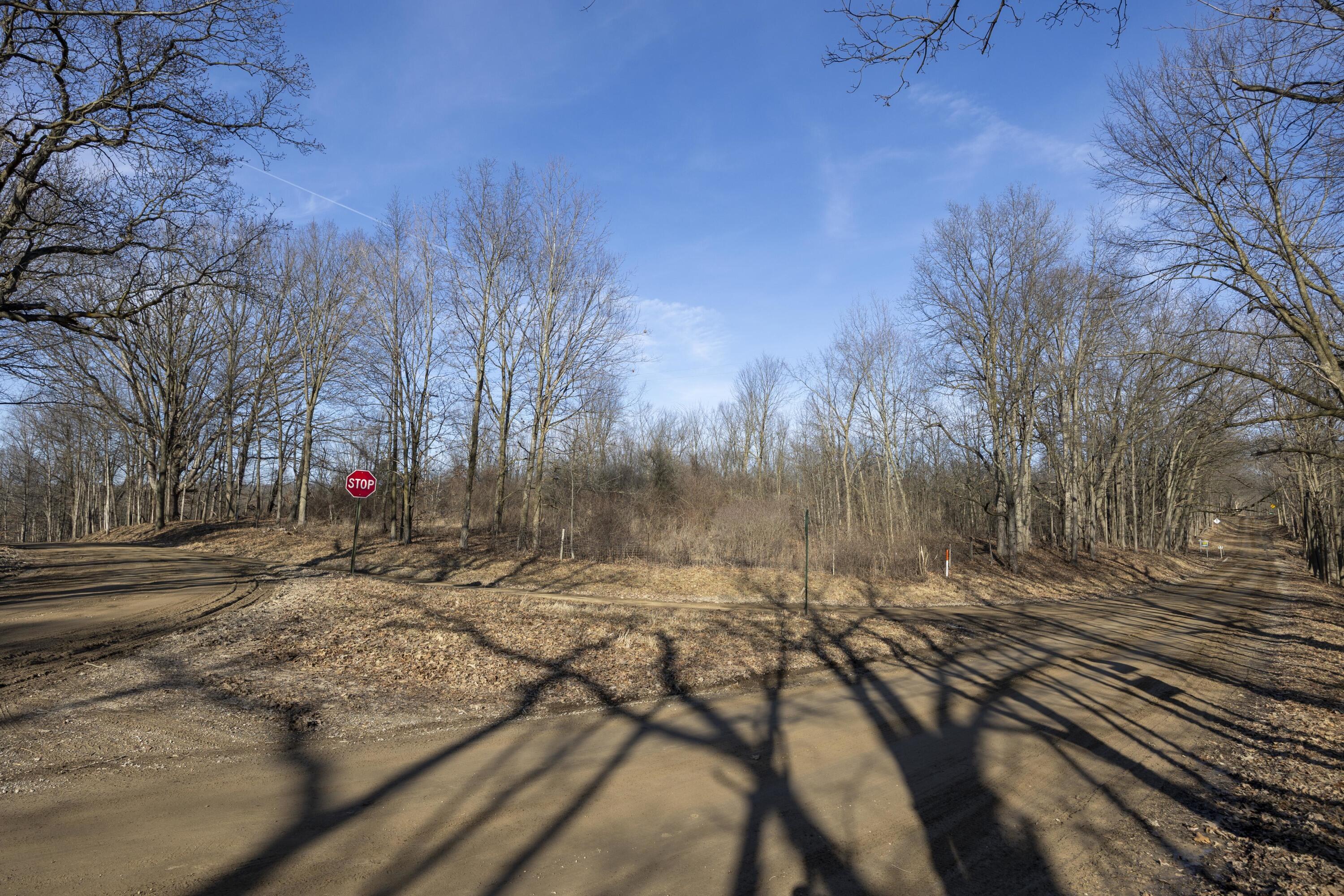 0 Burtless Road Manchester, MI 48158 - Photo 8 of 17 009_13