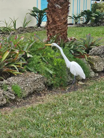 $2,300 | 9360 Southwest 168th Street, Palmetto Bay, FL 33157