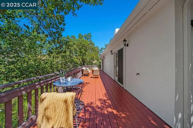 a view of a backyard with large trees