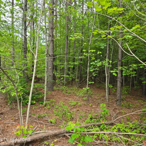 $139,900 | Lot 14 Holly Woods, Robbins, TN 37852