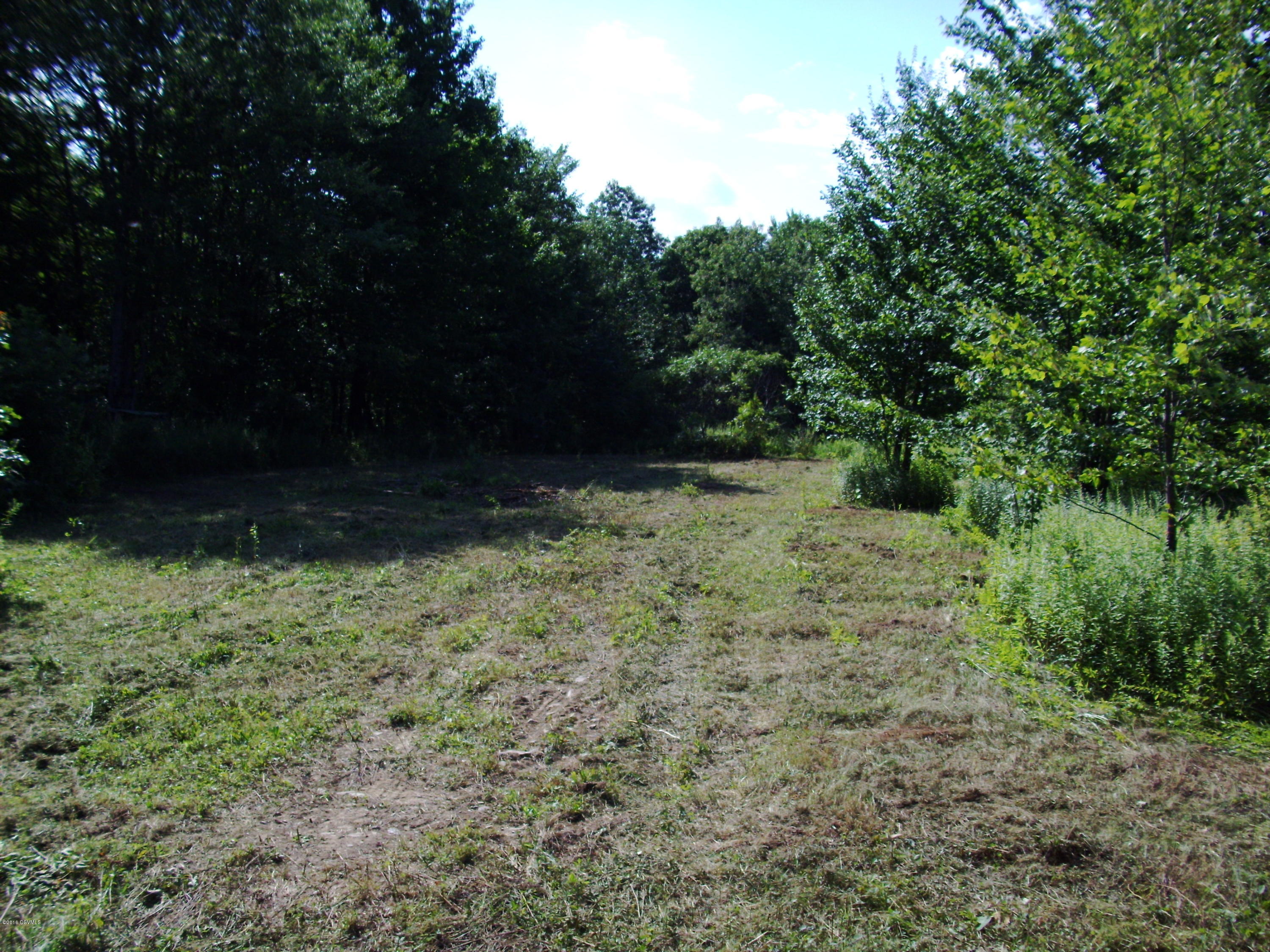 Marvin Road Shickshinny, PA 18655 - Photo 9 of 15