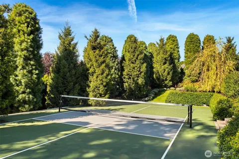 a view of a garden with chairs