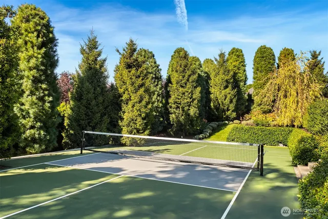 a view of a garden with chairs