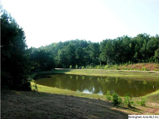 0 Lees Bridge Road, Unit 27 ACRES Delta, AL 36258 - Photo 2 of 8
