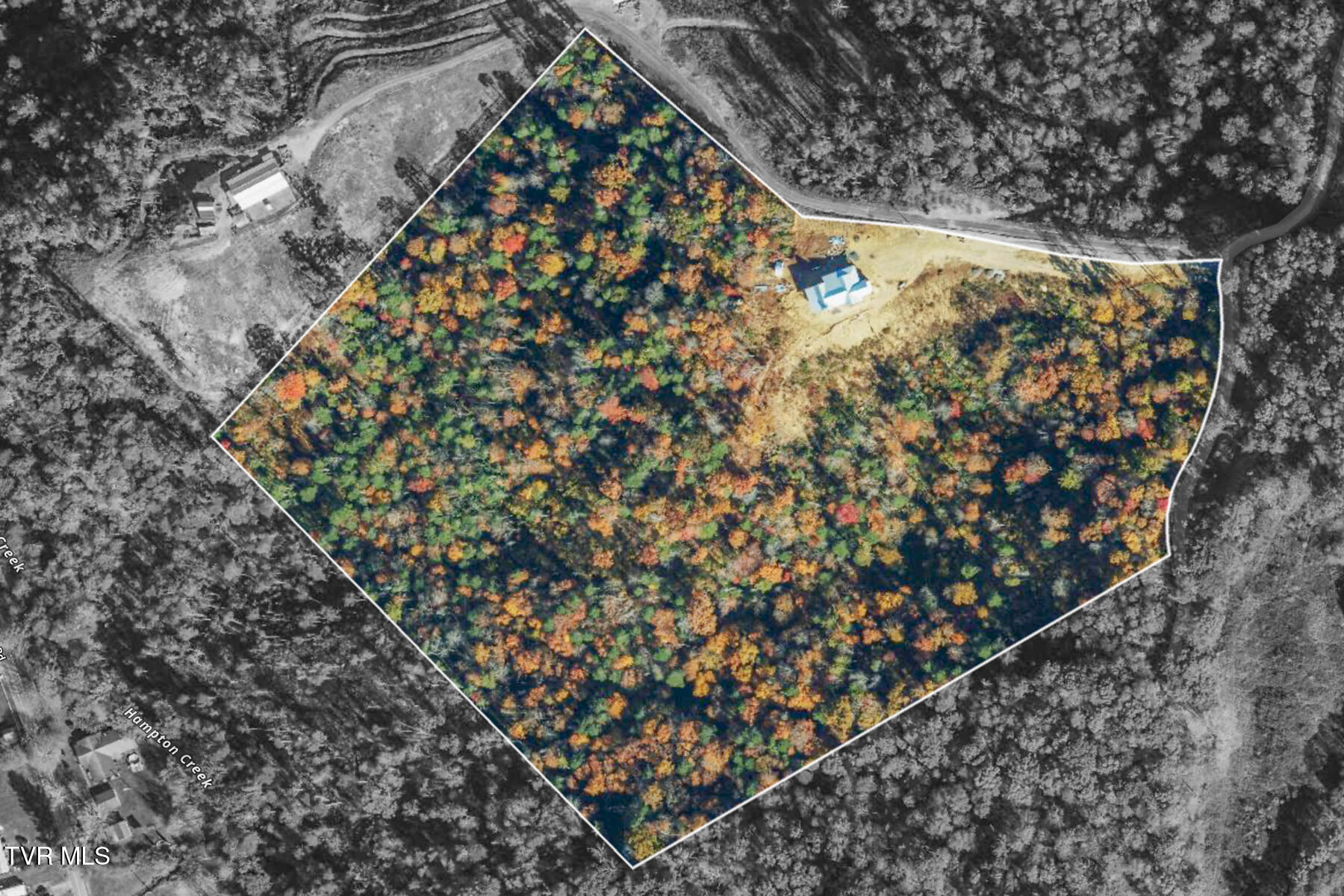 169 Teaberry Road Roan Mountain, TN 37687 - Photo 24 of 66 169 Teaberry Rd-9