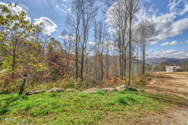 $850,000 | 169 Teaberry Road, Roan Mountain, TN 37687