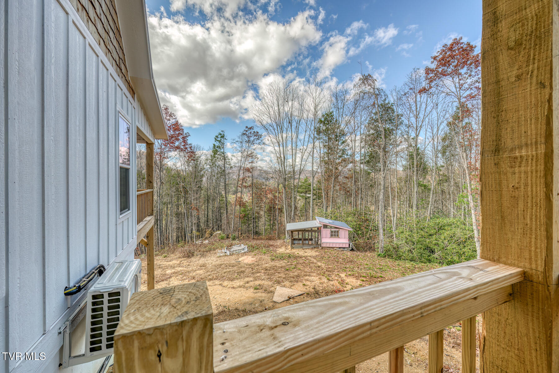 169 Teaberry Road Roan Mountain, TN 37687 - Photo 57 of 66 169 Teaberry Rd-49