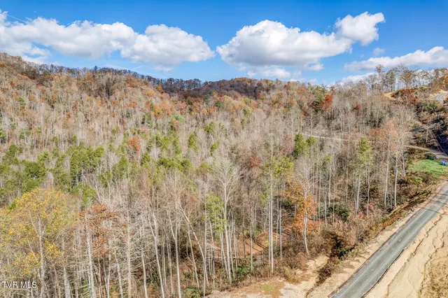 $850,000 | 169 Teaberry Road, Roan Mountain, TN 37687