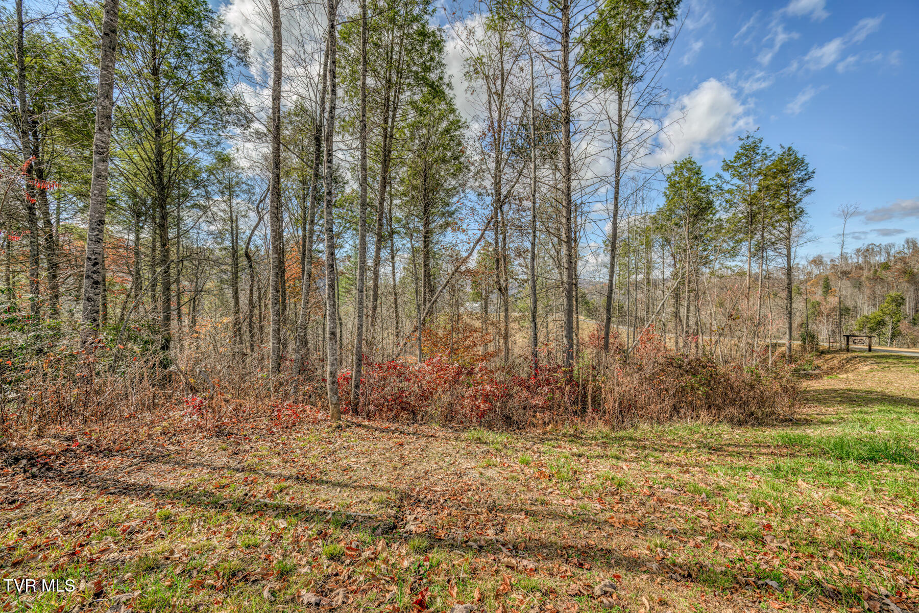 169 Teaberry Road Roan Mountain, TN 37687 - Photo 66 of 66 169 Teaberry Rd-56
