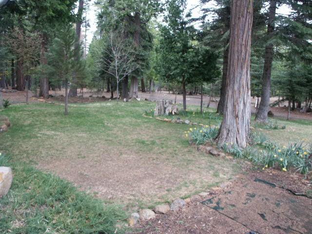 8468 Ritts Mill Road Shingletown, CA 96088 - Photo 7 of 14 View - Back