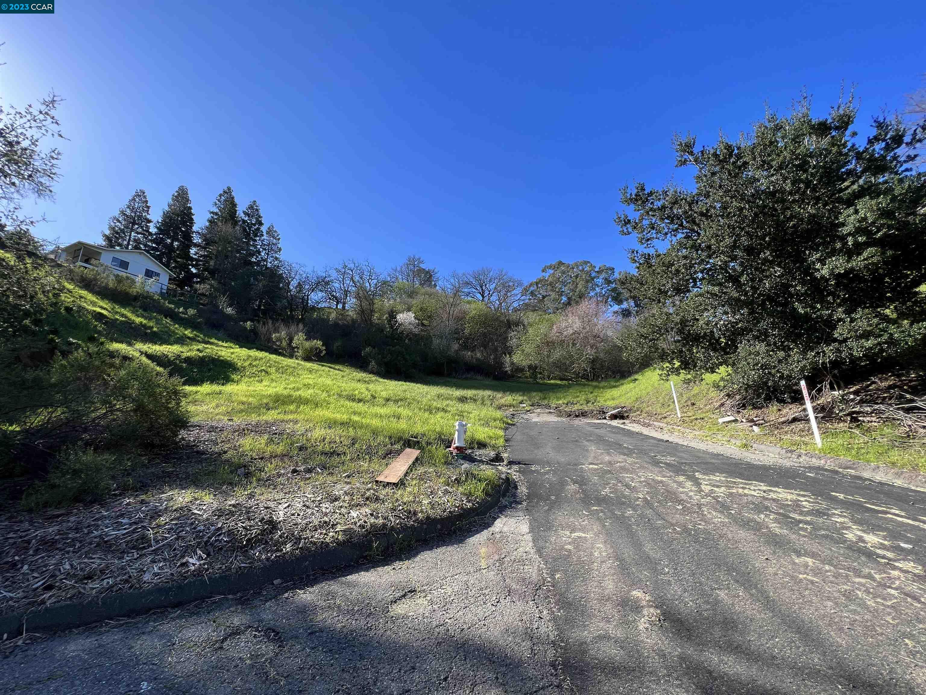 40 Rodrigues Lane Walnut Creek, CA 94597 - Photo 1 of 1 a view of a park with large trees