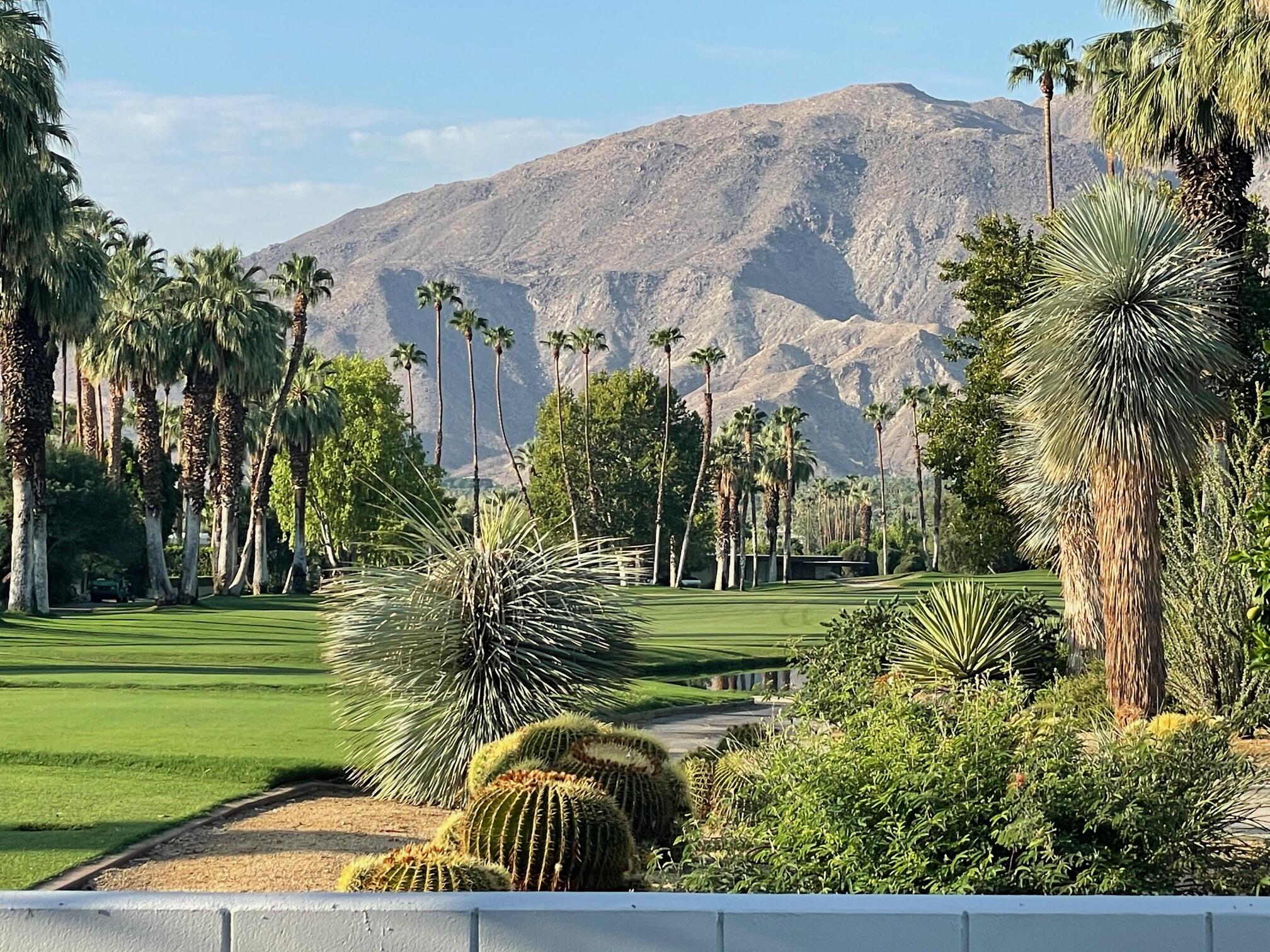 71467 Country Club Drive Rancho Mirage, CA 92270 - Photo 15 of 49 IMG_2847