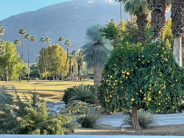 a close view of sink
