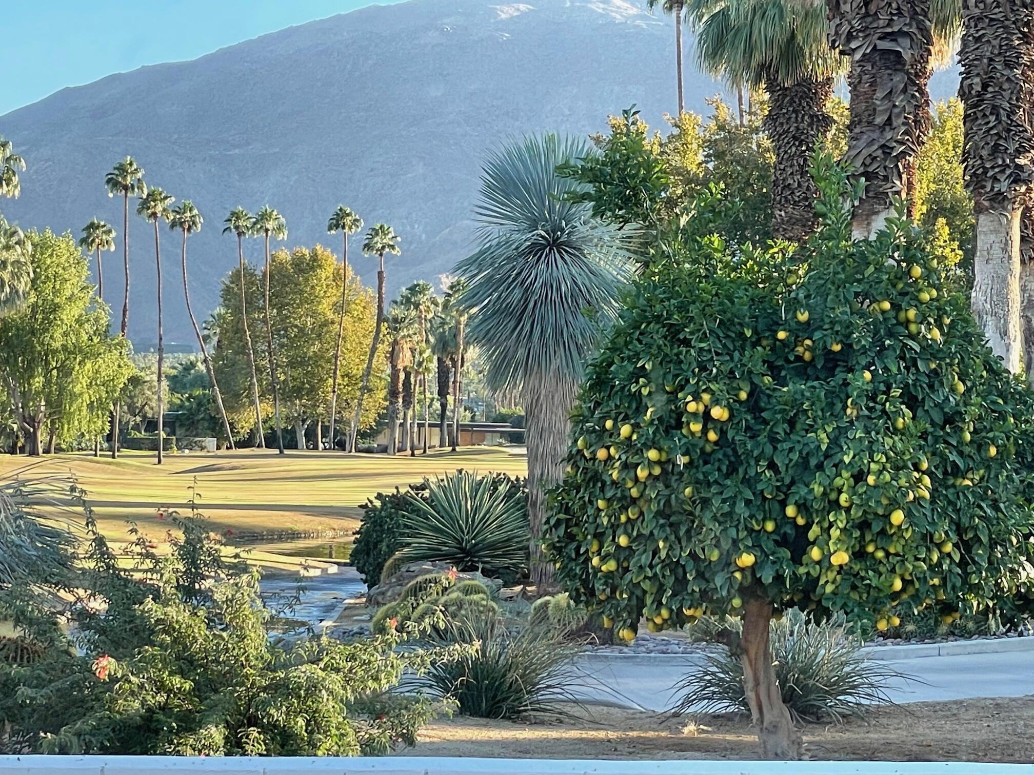 71467 Country Club Drive Rancho Mirage, CA 92270 - Photo 21 of 49 IMG_3777