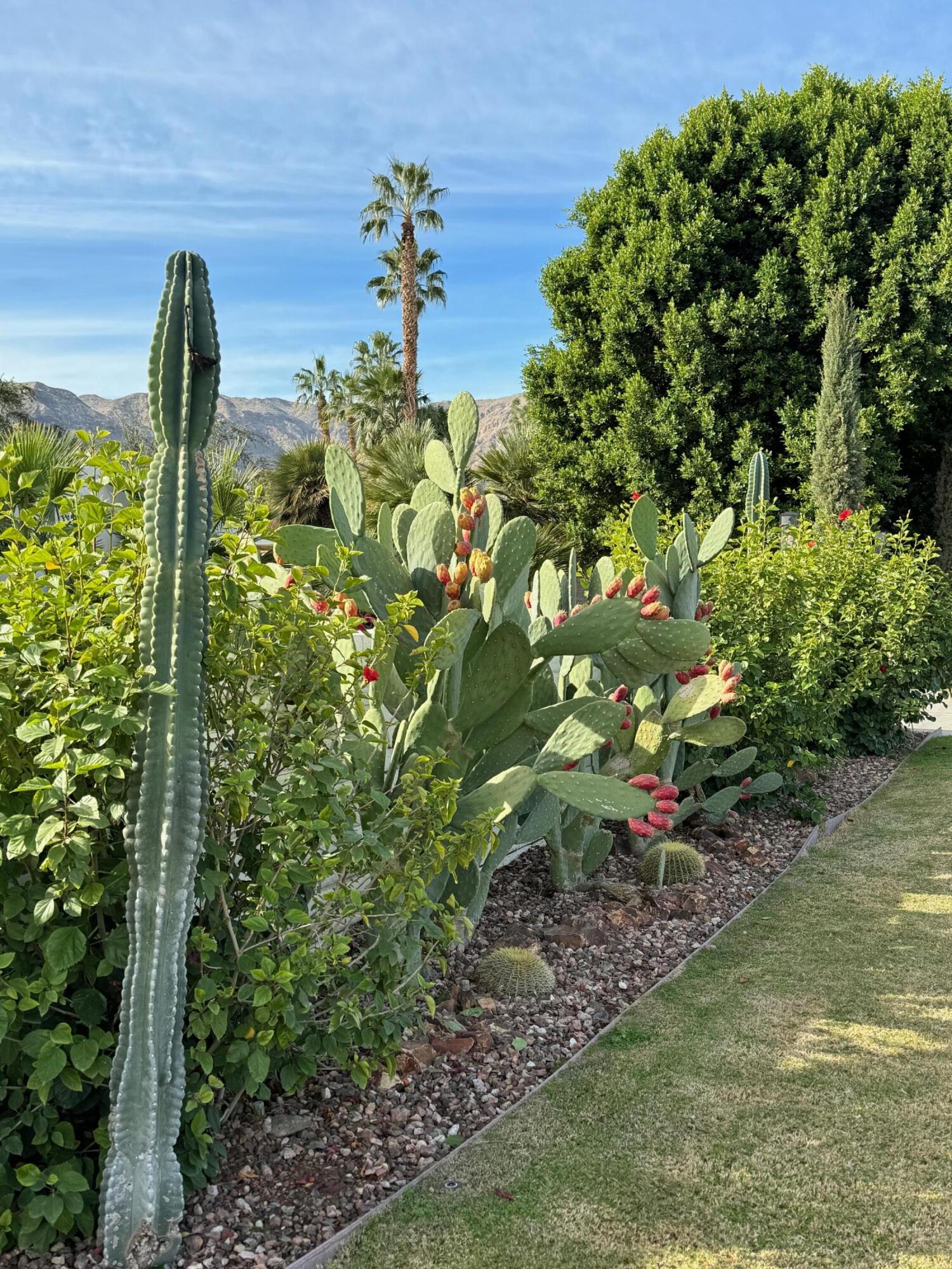 71467 Country Club Drive Rancho Mirage, CA 92270 - Photo 10 of 49 IMG_0169
