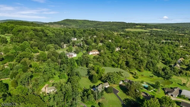 a view of a lush green space with sea
