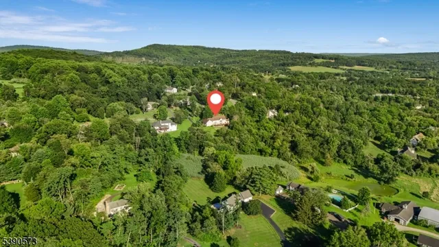 a view of a lush green forest