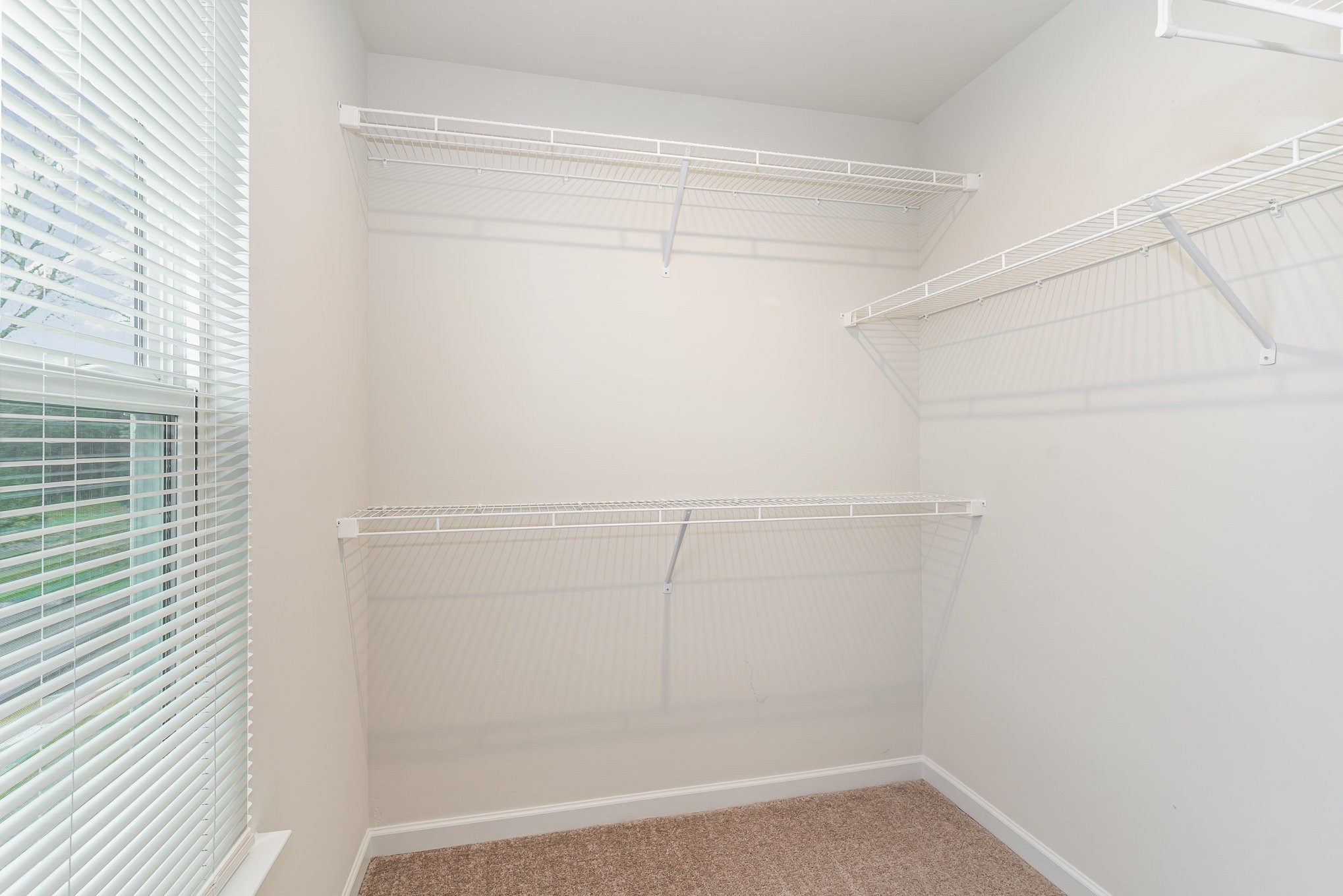 160 Keelon Gap Road Spring Hill, TN 37174 - Photo 26 of 32 a view of a room with racks on the wall