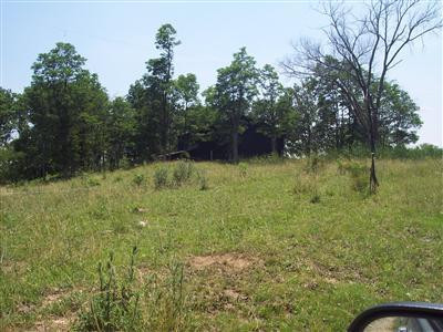 1874 Two Lick Road Cynthiana, KY 41031 - Photo 10 of 11 Photo 10