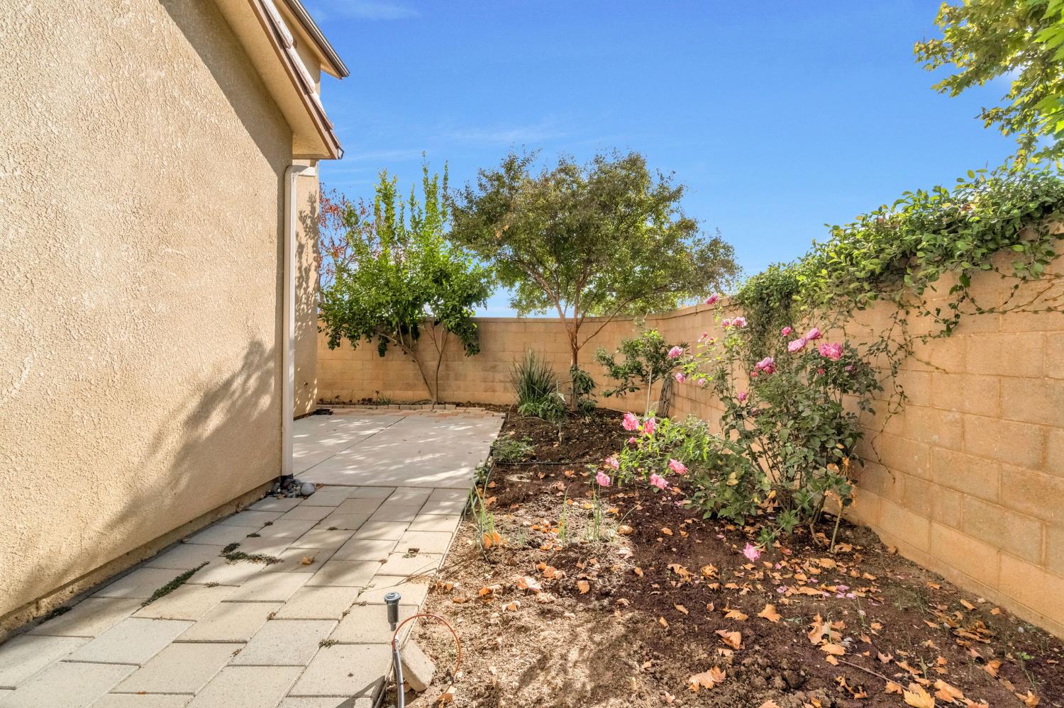 1500 North Encoure Way Clovis, CA 93619 - Photo 27 of 37 a view of a pathway with a yard
