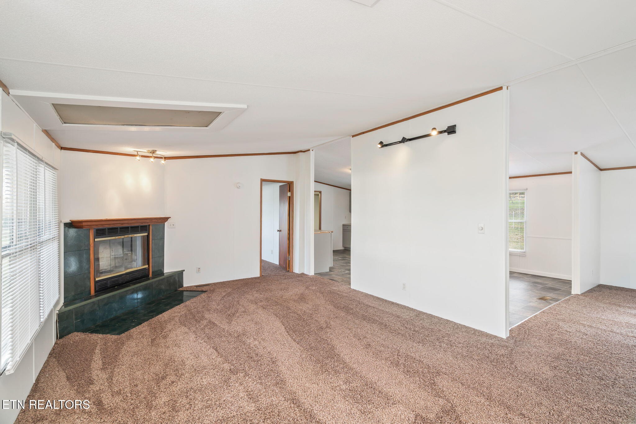361 Doane Road New Market, TN 37820 - Photo 9 of 39 a big room with closet and mirror