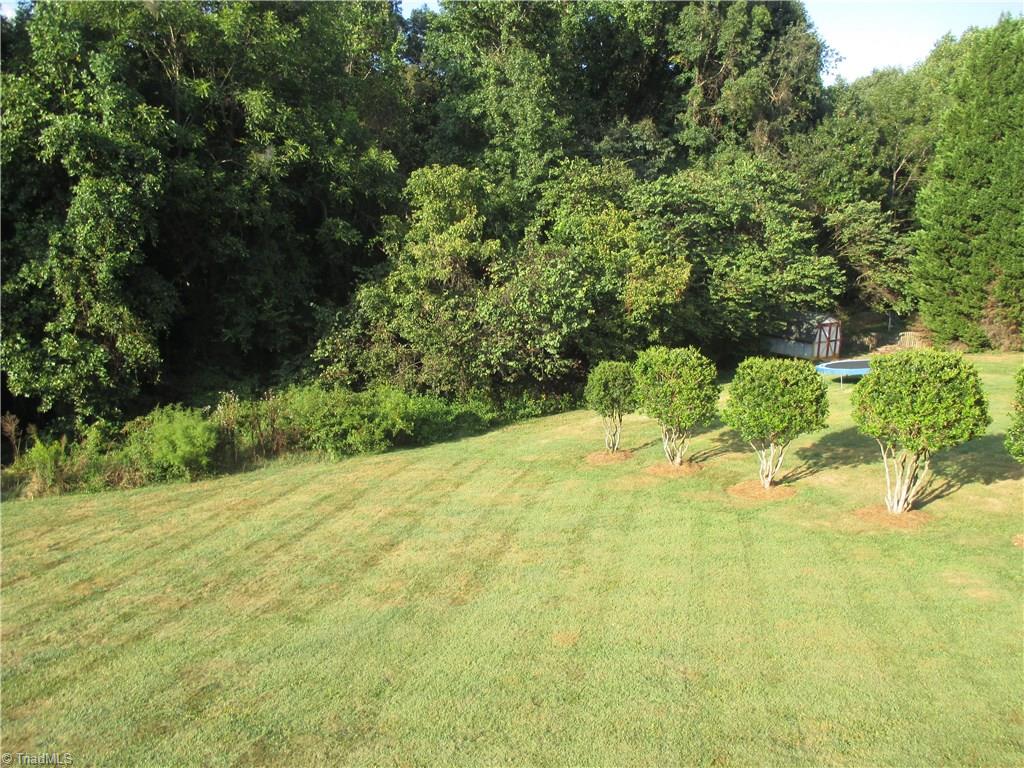 7691 Sedgewick Ridge Road Lewisville, NC 27023 - Photo 20 of 20