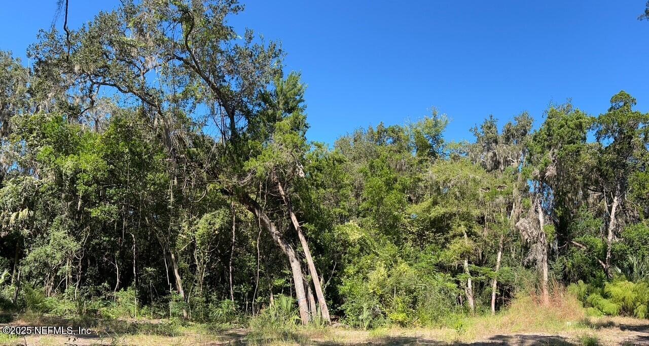 958 Pantano Drive St. Augustine, FL 32095 - Photo 3 of 5 a backyard of a house with lots of green space