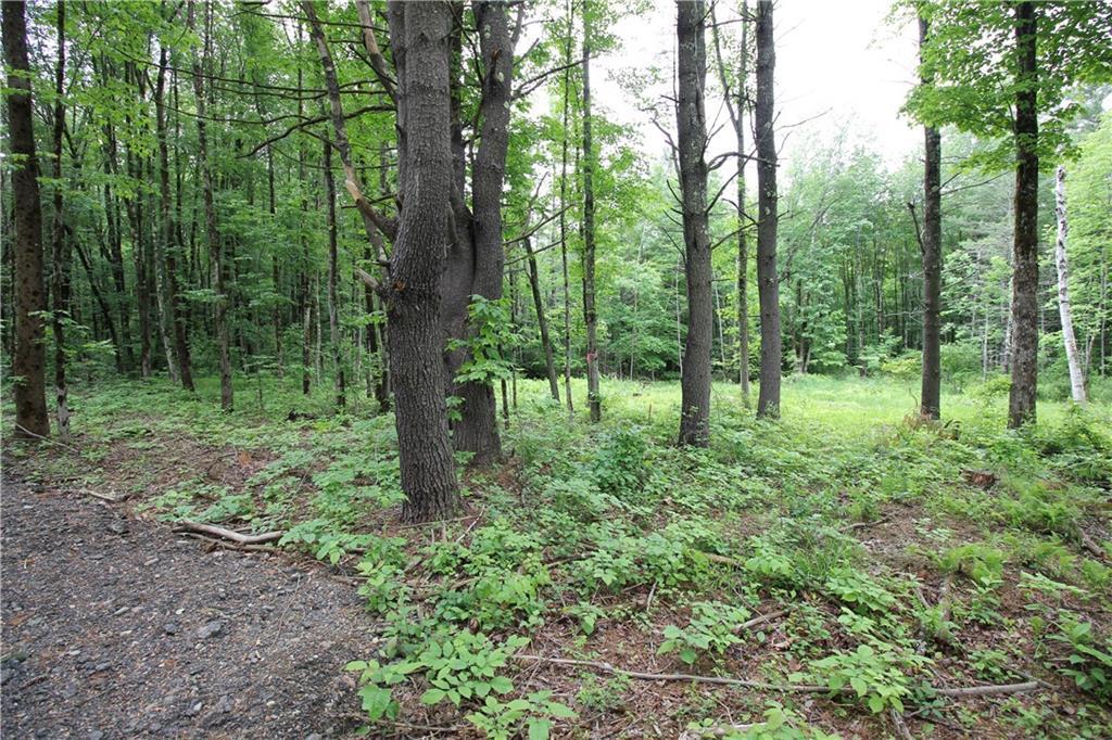 331 Cranberry Meadow Road Berwick, ME 03901 - Photo 9 of 13 Photo