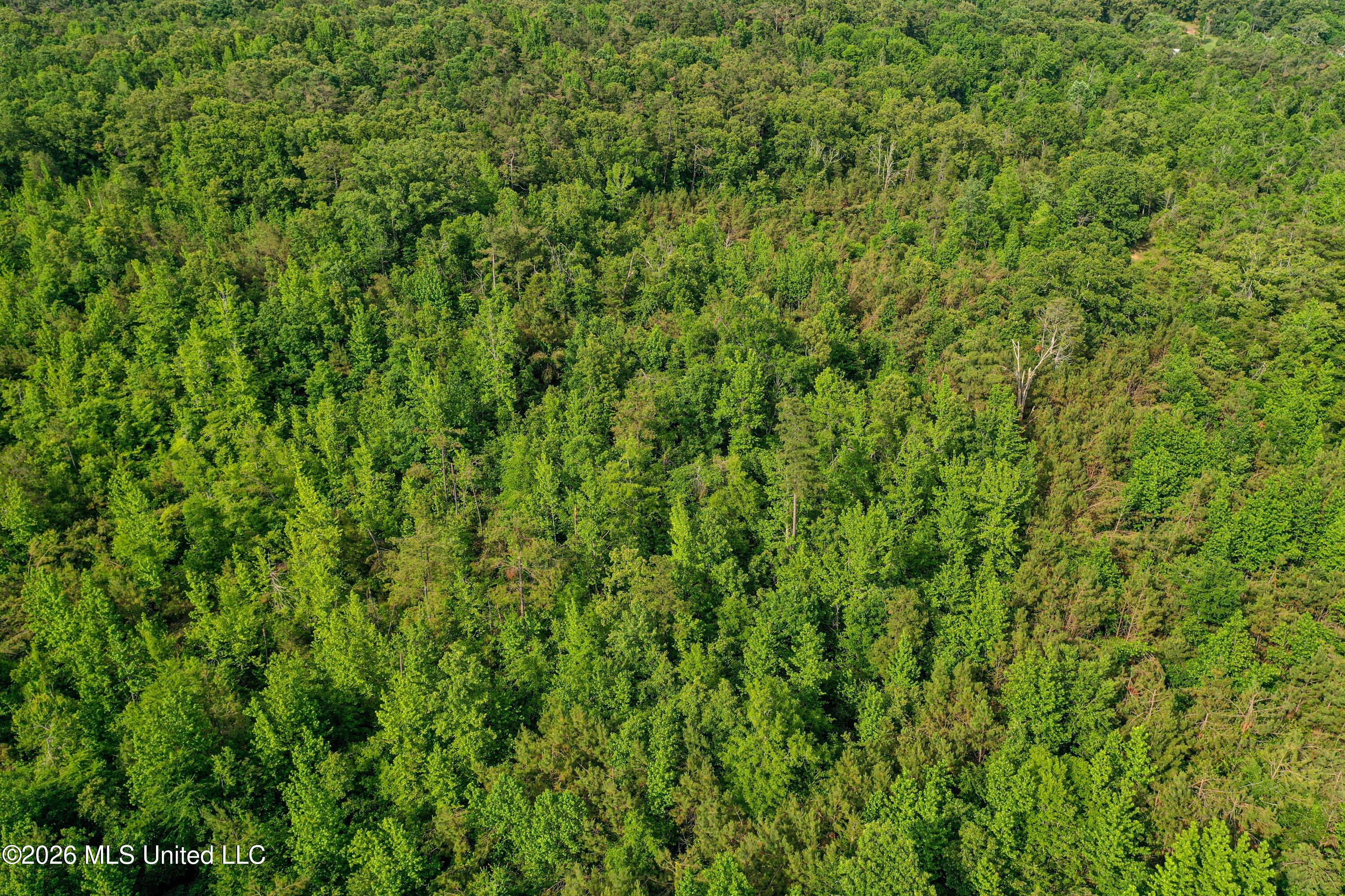 816 County Road Blue Mountain, MS 38610 - Photo 21 of 21 DJI_0755