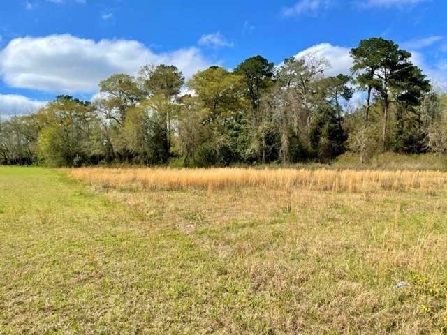 0 Knowles Road Headland, AL 36345 - Photo 2 of 10