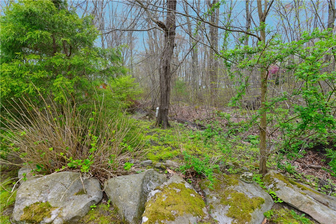 4 Colonial Road Scituate, RI 02857 - Photo 46 of 50