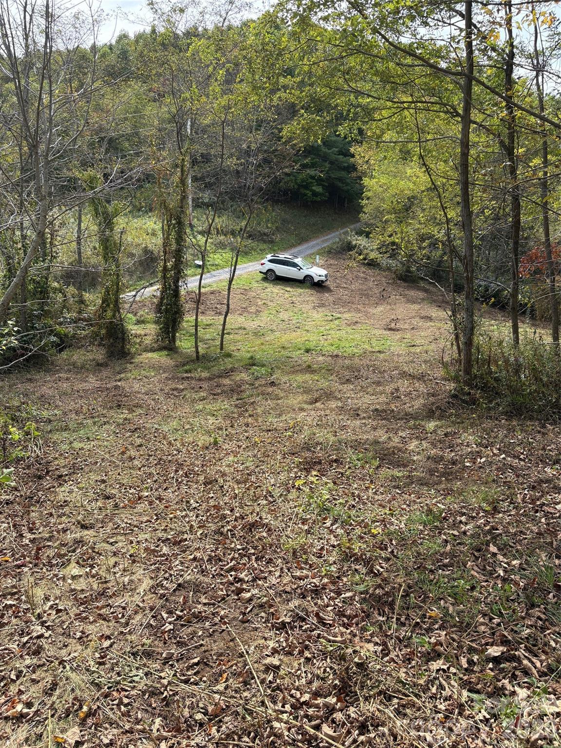 2 Turkey Trot Road Clyde, NC 28721 - Photo 5 of 48