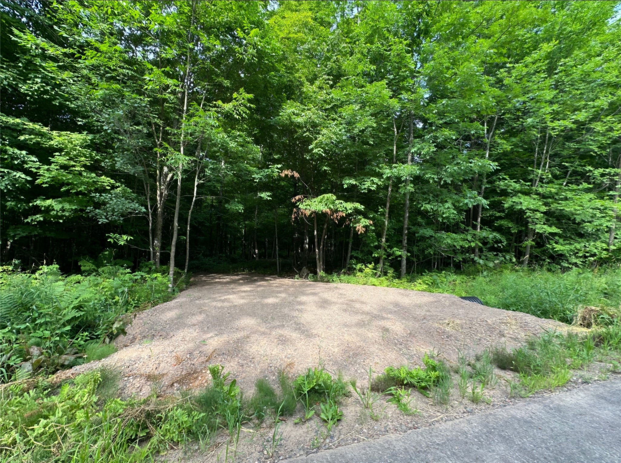 Lot 6 Deer Lake Road Exeland, WI 54835 - Photo 3 of 25 Gallery Image 3