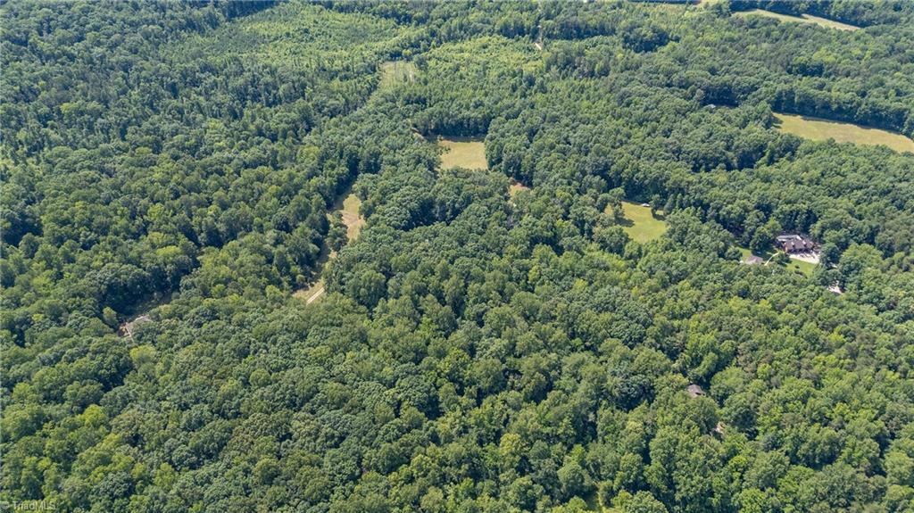 7849 Circle L Trail Rougemont, NC 27572 - Photo 45 of 49