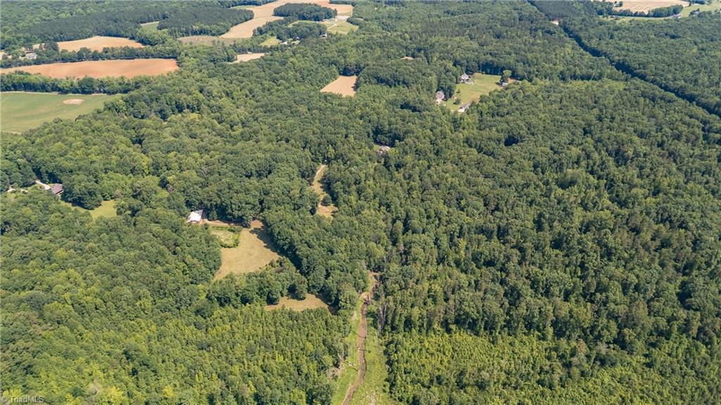 7849 Circle L Trail Rougemont, NC 27572 - Photo 46 of 49