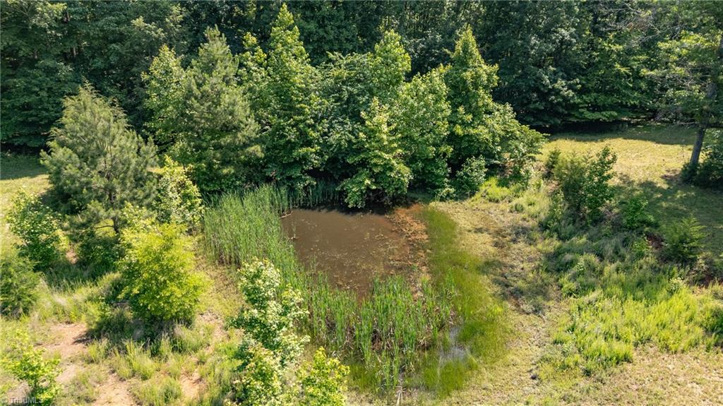 7849 Circle L Trail Rougemont, NC 27572 - Photo 48 of 49