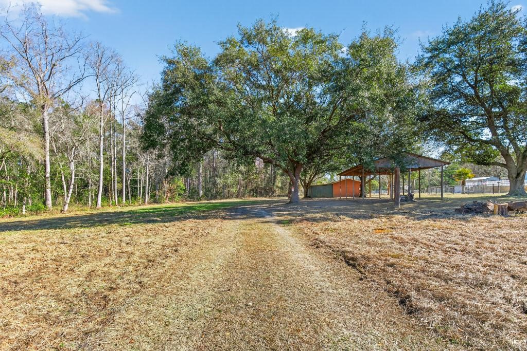 2744 Roy Sikes Road Hilliard, FL 32046 - Photo 91 of 97 a view of a yard with plants and trees