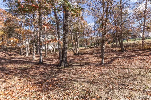 $380,000 | 9860 East Vista Drive, Hillsboro, MO 63050