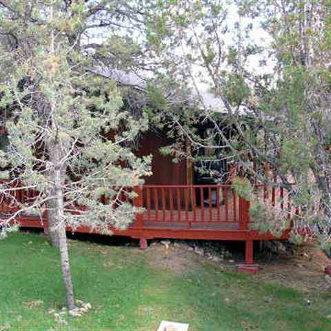 1929 Elk Trail Road Heber, AZ 85928 - Photo 4 of 11