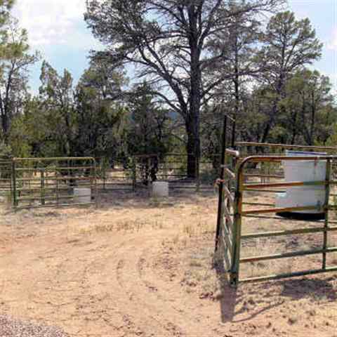 1929 Elk Trail Road Heber, AZ 85928 - Photo 10 of 11