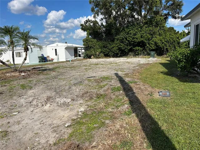 a view of a yard with large trees