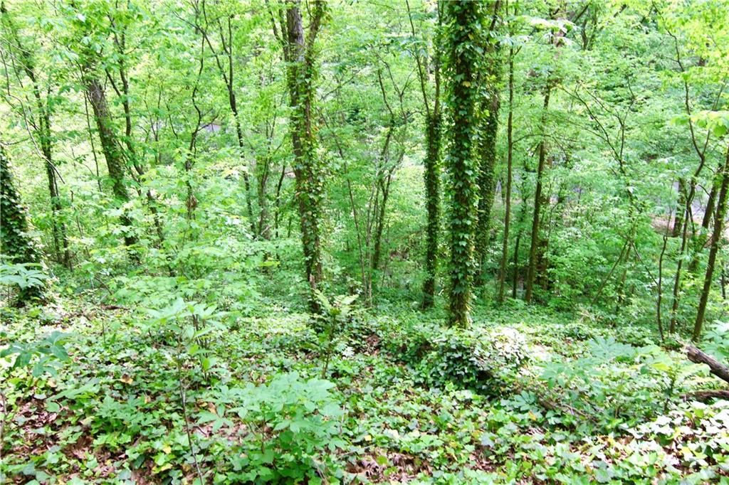 6380 River Chase Circle Northwest Sandy Springs, GA 30328 - Photo 11 of 25 a view of a lush green forest