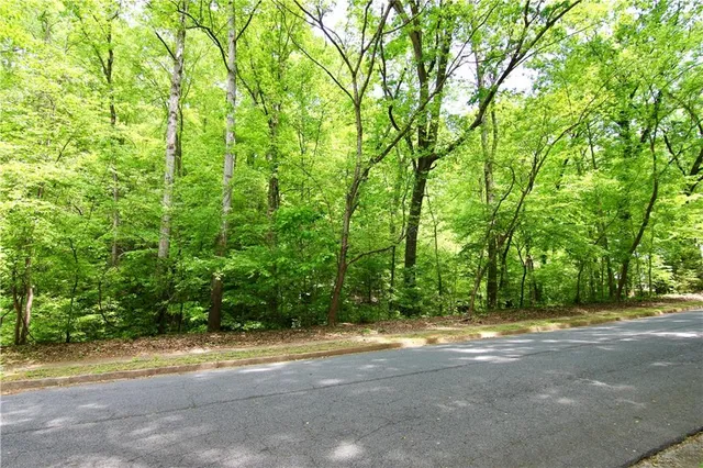 a view of road and trees